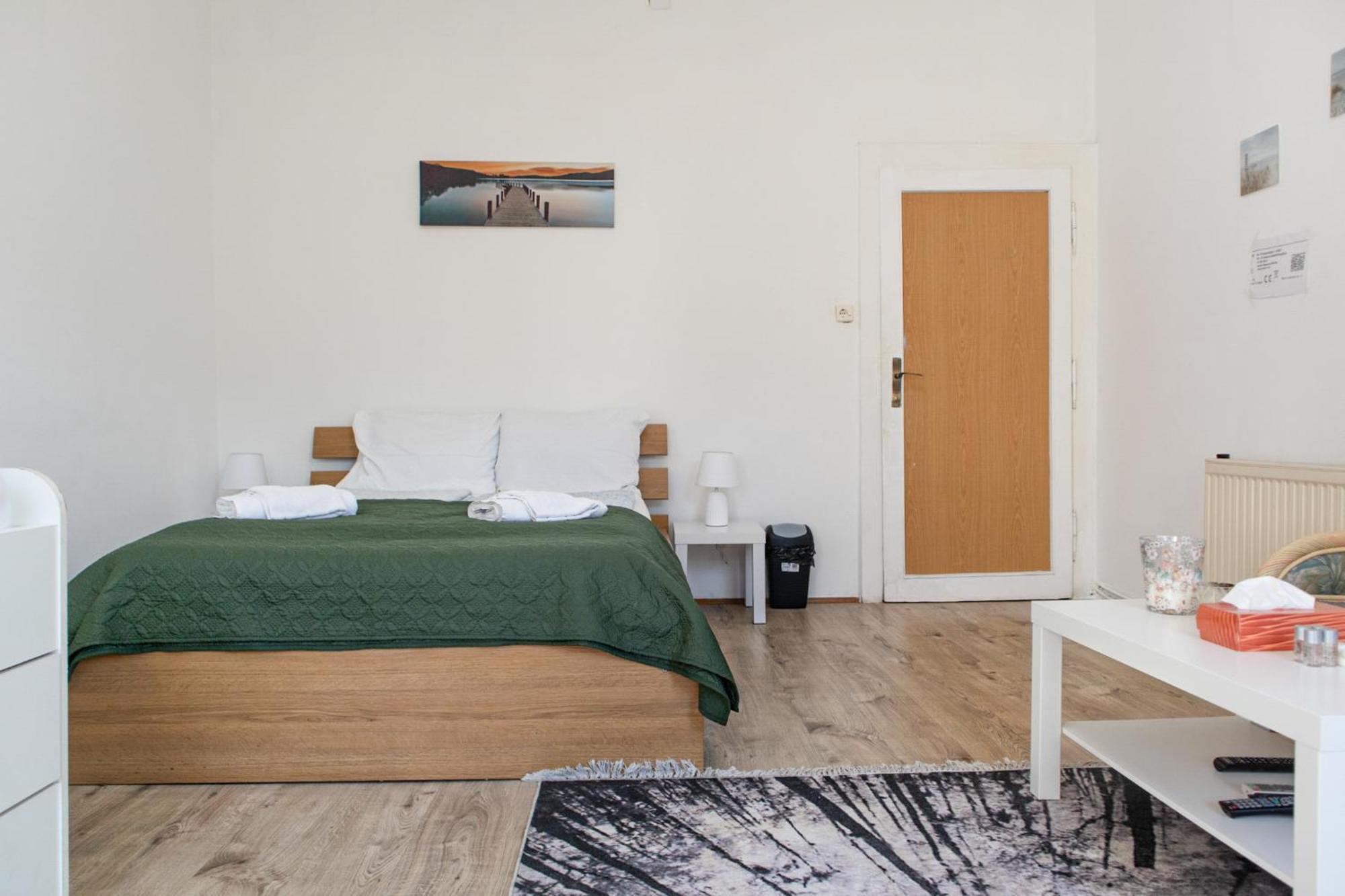 Convenient 3br Near Danube & Millenium Tower * Wien